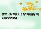 古文《觀刈麥》（觀刈麥翻譯 觀刈麥全詩翻譯）