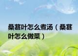 桑葚葉怎么煮湯（桑葚葉怎么做菜）