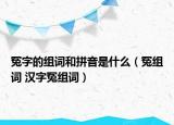 冤字的組詞和拼音是什么（冤組詞 漢字冤組詞）