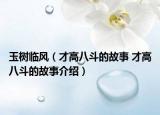 玉樹(shù)臨風(fēng)（才高八斗的故事 才高八斗的故事介紹）