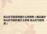 低頭折節(jié)的意思是什么意思?。坊ɑ曛械皖^折節(jié)的折是什么意思 低頭折節(jié)的意思）