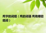 鷹字的詞組（鷹的詞語 鷹有哪些組詞）