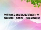 刨根問底是褒義詞還是貶義詞（刨根問底是什么意思 什么是刨根問底）