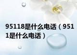95118是什么電話(huà)（9511是什么電話(huà)）