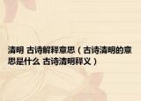 清明 古詩解釋意思（古詩清明的意思是什么 古詩清明釋義）