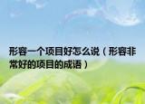 形容一個項(xiàng)目好怎么說（形容非常好的項(xiàng)目的成語）