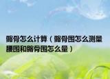 髂骨怎么計算（髂骨圍怎么測量 腰圍和髂骨圍怎么量）