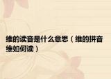 維的讀音是什么意思（維的拼音 維如何讀）