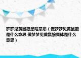 夢夢見黃鼠狼是啥意思（做夢夢見黃鼠狼是什么意思 做夢夢見黃鼠狼具體是什么意思）