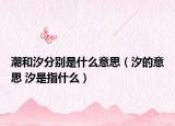 潮和汐分別是什么意思（汐的意思 汐是指什么）