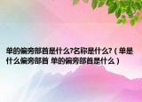 單的偏旁部首是什么?名稱是什么?（單是什么偏旁部首 單的偏旁部首是什么）