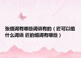 張組詞有哪些詞語(yǔ)有的（匠可以組什么詞語(yǔ) 匠的組詞有哪些）