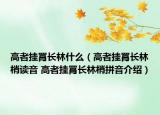 高者掛罥長林什么（高者掛罥長林梢讀音 高者掛罥長林梢拼音介紹）