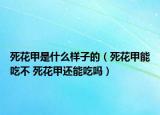 死花甲是什么樣子的（死花甲能吃不 死花甲還能吃嗎）