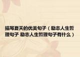 描寫夏天的優(yōu)美句子（勵志人生哲理句子 勵志人生哲理句子有什么）