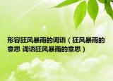 形容狂風暴雨的詞語（狂風暴雨的意思 詞語狂風暴雨的意思）
