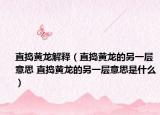 直搗黃龍解釋（直搗黃龍的另一層意思 直搗黃龍的另一層意思是什么）