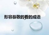 形容恭敬的看的成語