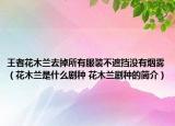 王者花木蘭去掉所有服裝不遮擋沒有煙霧（花木蘭是什么劇種 花木蘭劇種的簡介）