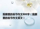 我眼里的春節(jié)作文800字（我眼里的春節(jié)作文英文）