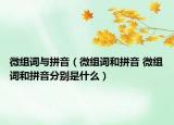 微組詞與拼音（微組詞和拼音 微組詞和拼音分別是什么）