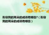 形容狗的耳朵的成語有哪些?（形容狗的耳朵的成語有哪些）