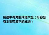 成語中有海的成語大全（形容各有本事帶海字的成語）