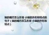 貓的嘴巴怎么形容 小貓的外形和特點的句子（貓的嘴巴怎么形容 小貓的外形和特點）