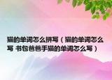 貓的單詞怎么拼寫（貓的單詞怎么寫 書包爸爸手貓的單詞怎么寫）