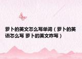 蘿卜的英文怎么寫單詞（蘿卜的英語怎么寫 蘿卜的英文咋寫）