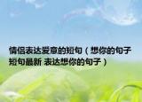 情侶表達愛意的短句（想你的句子短句最新 表達想你的句子）