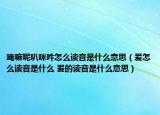 唵嘛呢叭咪吽怎么讀音是什么意思（爰怎么讀音是什么 爰的讀音是什么意思）