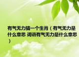 有氣無力猜一個生肖（有氣無力是什么意思 詞語有氣無力是什么意思）
