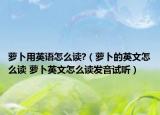 蘿卜用英語怎么讀?（蘿卜的英文怎么讀 蘿卜英文怎么讀發(fā)音試聽）