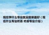 現(xiàn)在學什么專業(yè)就業(yè)前景最好（現(xiàn)在什么專業(yè)吃香 吃香專業(yè)介紹）