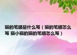 貓的筆順是什么寫（貓的筆順怎么寫 貓小貓的貓的筆順怎么寫）