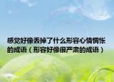 感覺好像丟掉了什么形容心情惆悵的成語（形容好像很嚴(yán)肅的成語）