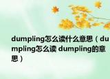 dumpling怎么讀什么意思（dumpling怎么讀 dumpling的意思）