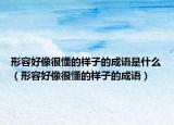 形容好像很懂的樣子的成語是什么（形容好像很懂的樣子的成語）