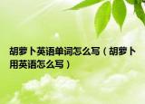 胡蘿卜英語單詞怎么寫（胡蘿卜用英語怎么寫）