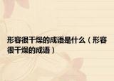 形容很干燥的成語(yǔ)是什么（形容很干燥的成語(yǔ)）