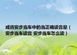 成語(yǔ)安步當(dāng)車(chē)中的當(dāng)正確讀音是（安步當(dāng)車(chē)讀音 安步當(dāng)車(chē)怎么讀）