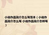 小說作品簡介怎么寫范本（小說作品簡介怎么寫 小說作品簡介怎樣寫）