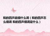 和的四聲能組什么詞（和的四聲怎么組詞 和的四聲組詞是什么）