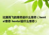 比翼而飛的意思是什么意思（hental意思 hental是什么意思）