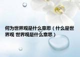 何為世界觀是什么意思（什么是世界觀 世界觀是什么意思）