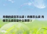 肖像的讀音怎么讀（肖像怎么讀 肖像怎么讀音是什么意思）
