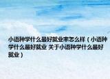 小語種學(xué)什么最好就業(yè)率怎么樣（小語種學(xué)什么最好就業(yè) 關(guān)于小語種學(xué)什么最好就業(yè)）