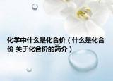 化學(xué)中什么是化合價（什么是化合價 關(guān)于化合價的簡介）