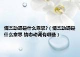 情態(tài)動(dòng)詞是什么意思?（情態(tài)動(dòng)詞是什么意思 情態(tài)動(dòng)詞有哪些）